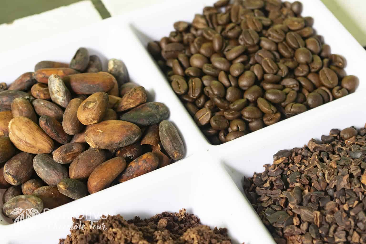 Authentic Cacao Experience in La Fortuna Don Olivo Chocolate Tour La